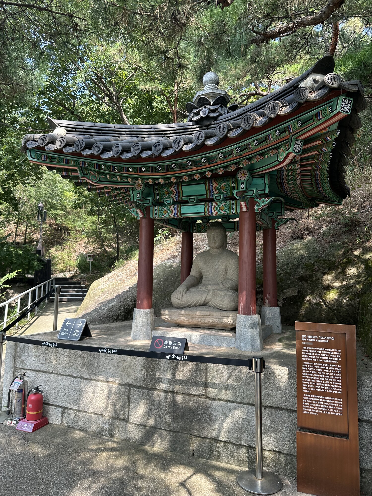 A seated Buddha beneath a pavilion, with pine branches and sunlight.