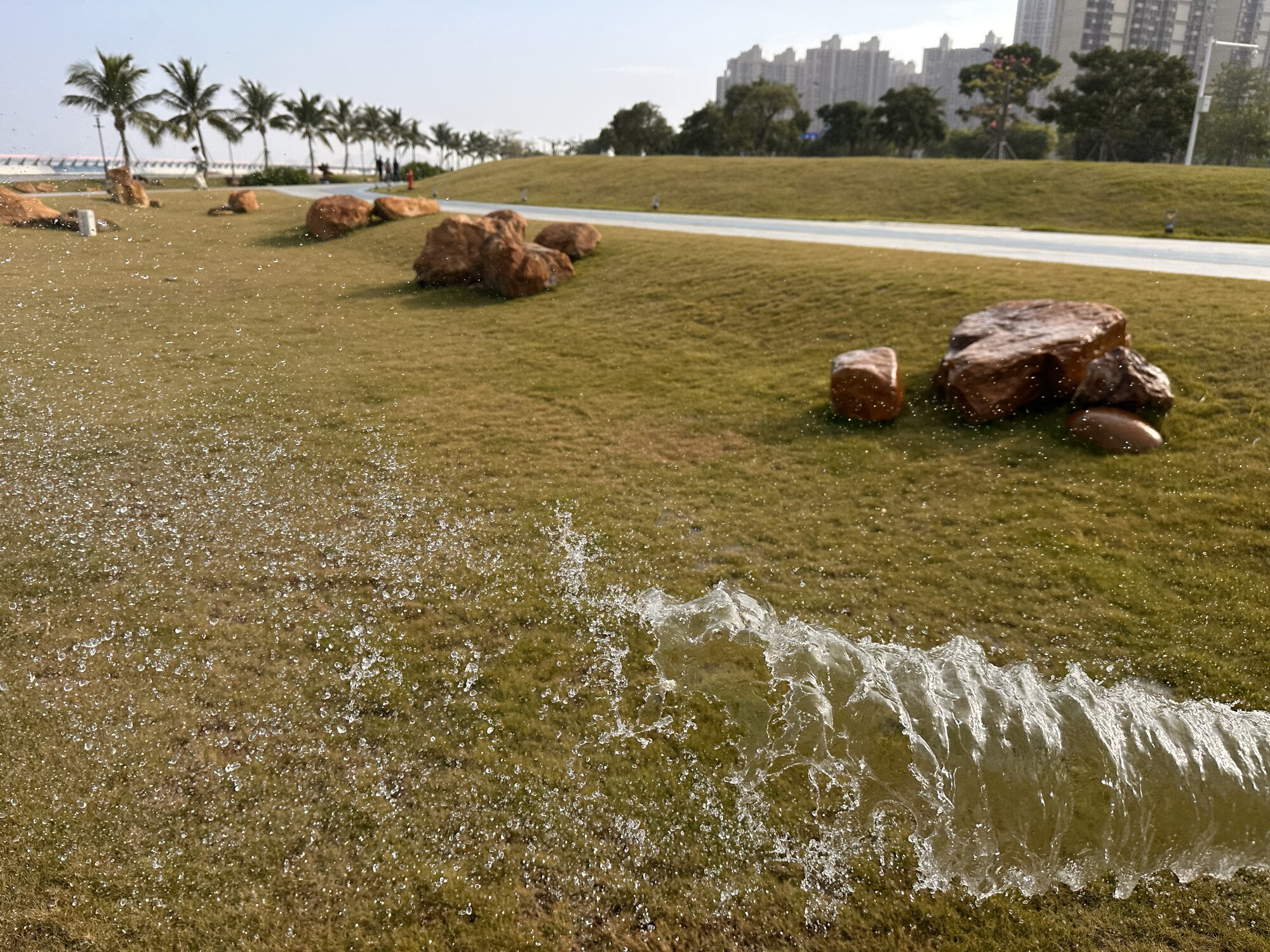 Water from a sprinkler scattering across a lawn.