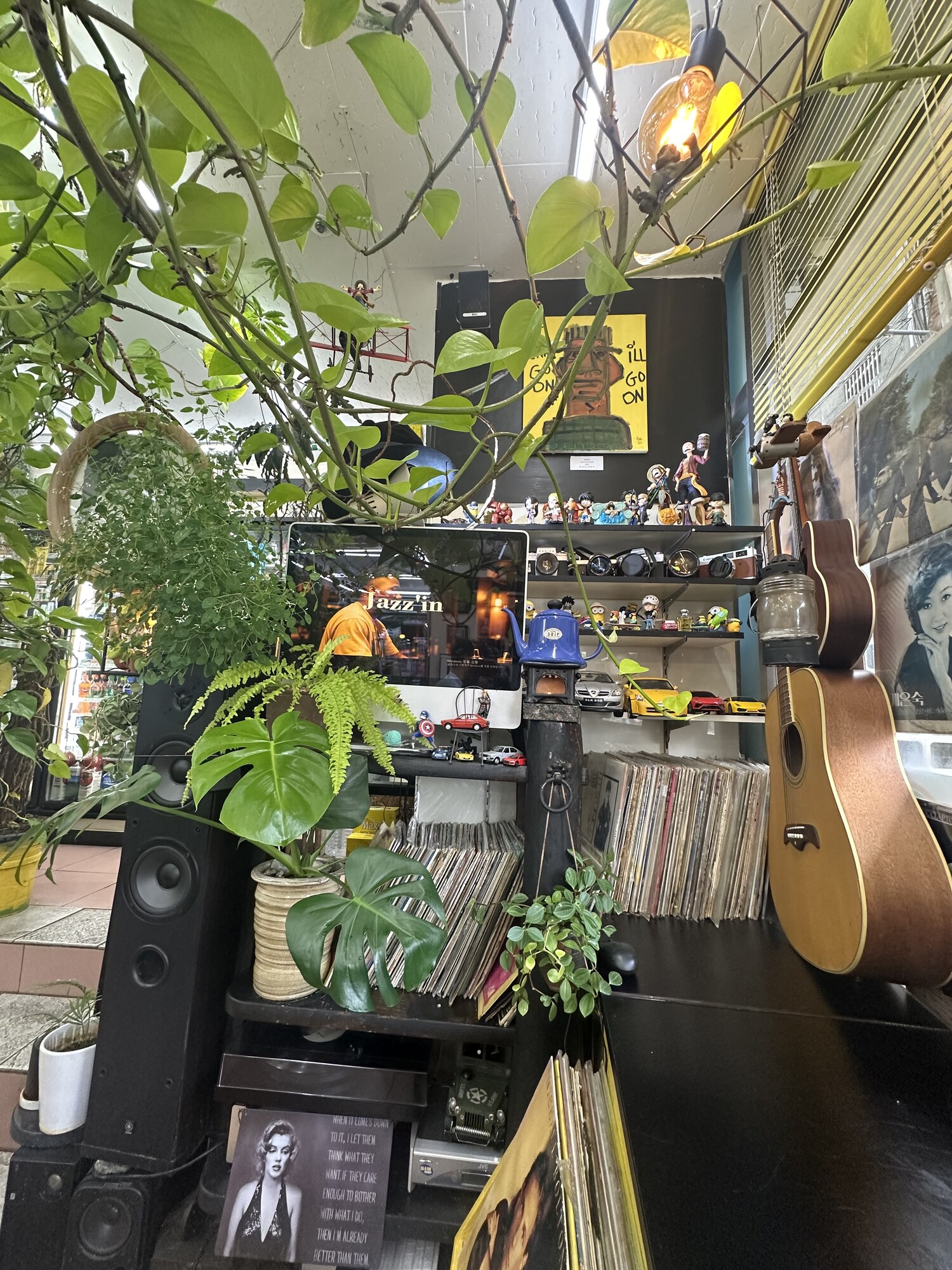 Green houseplants, guitars, records and speakers in a room.