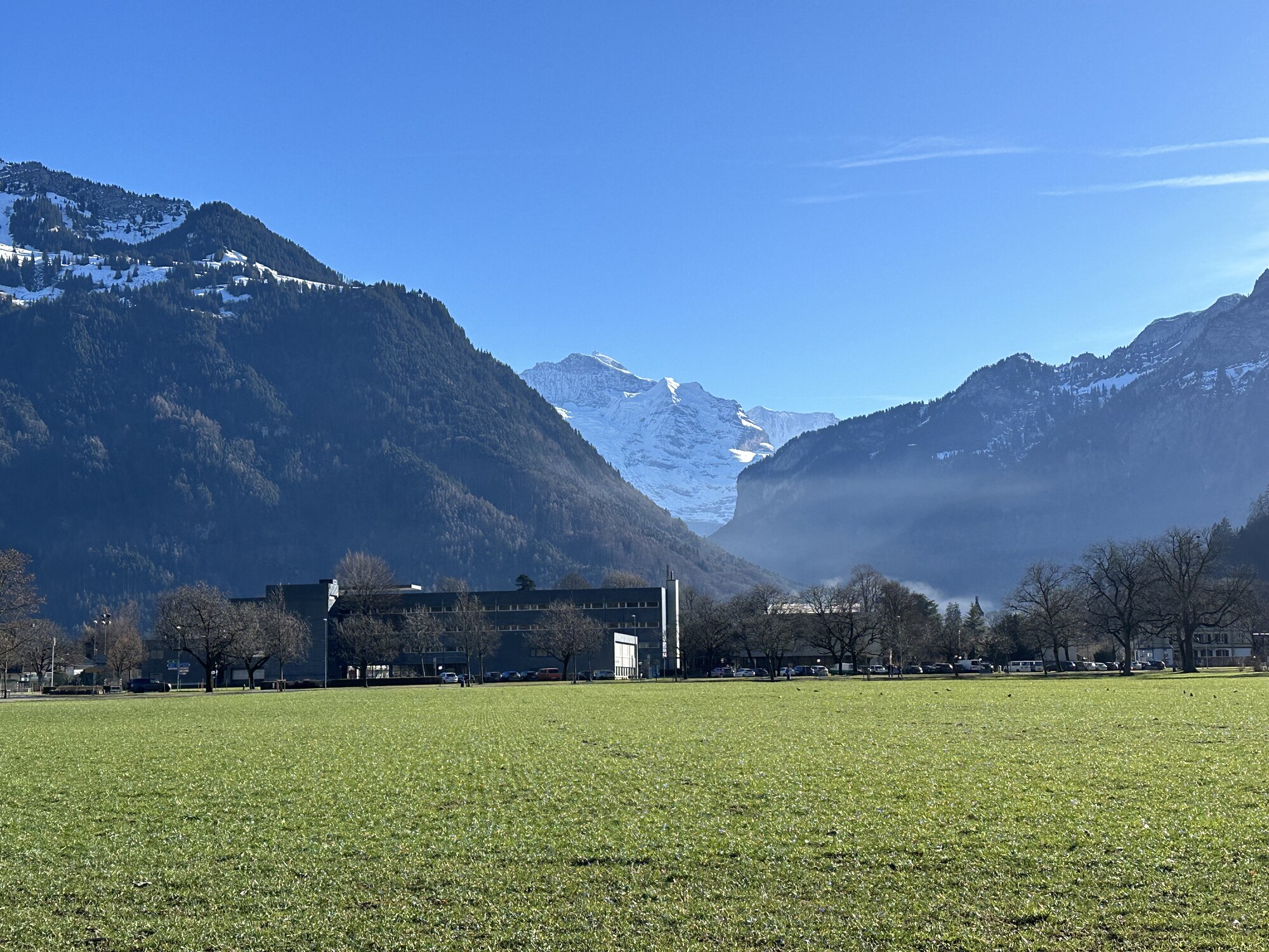 A wide green field beneath distant snowy mountains and blue sky.